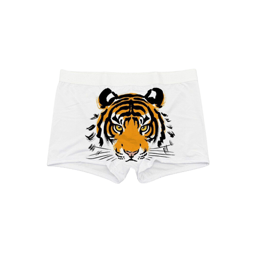 Sublimation Men Underwear